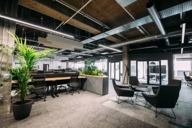 office biophilic